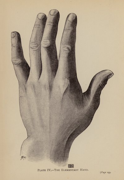 Den elementära handen (litho) av Rosamund Brunel Horsley Gotch