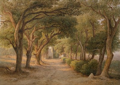 Castel Gandolfo (akvarell på papper) av Rudolf Müller