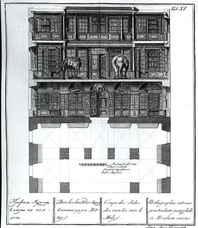 En sektionsvy av Hall of Rarities mot söder, illustration i Chambers of the St. Petersburg Imperial Academy of Sciences Library and Gallery som visar planer, fasader och profiler av Johann av Russian School