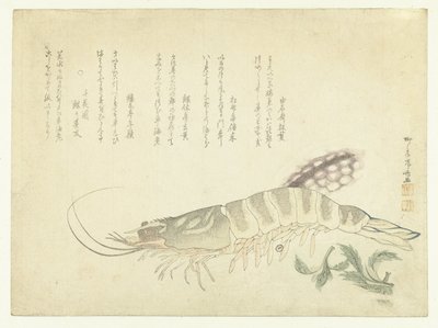 Kräftor och bläckfisk av Ryuryukyo Shinsai