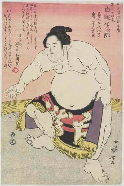 Tesmo _ Wre ster Shirataki Nudlar _ av Ryuryukyo Shinsai