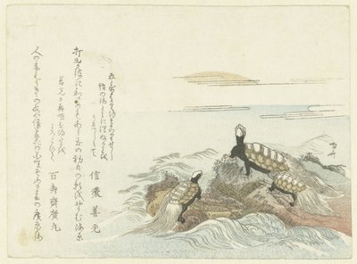 Sköldpaddor på en klippa av Ryuryukyo Shinsai