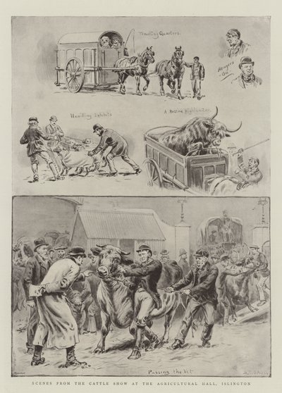 Scener från Cattle Show i Agricultural Hall, Islington av S.T. Dadd
