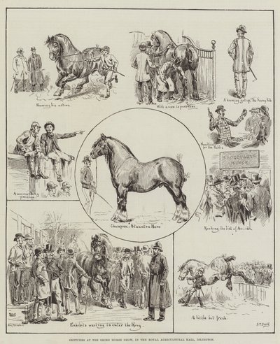Skisser från Shire Horse Show, i Royal Agricultural Hall, Islington av S.T. Dadd