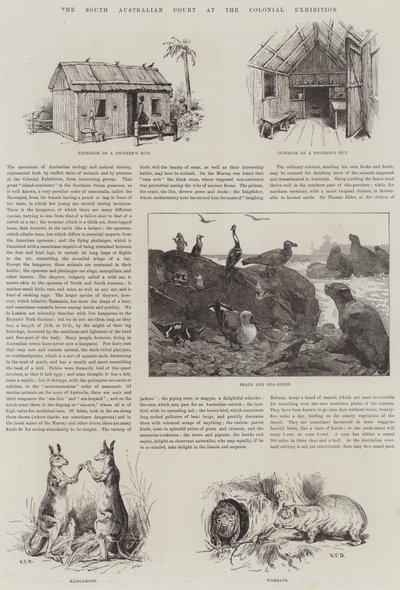 South Australian Court på Colonial Exhibition av S.T. Dadd