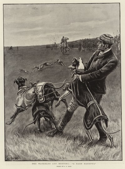 Waterloo Cup-mötet, en sällsynt handfull av S.T. Dadd