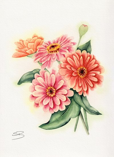 En färgsprakande bukett med zinnia av Salome