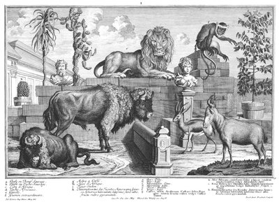Lejon och bisonpar av Salomon Kleiner
