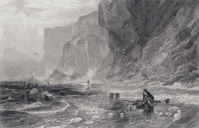 Illustration för The Pirate av Sir Walter Scott (gravyr) av Samuel (after) Bough