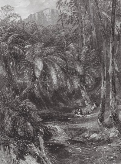 Australien: En dal med ormbunkar (gravyr) av Samuel (after) Prout