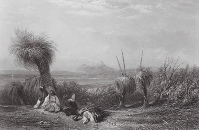 Australien: Grass Tree Plains (gravyr) av Samuel (after) Prout