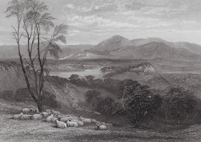 Australien: The Upper Goulburn, Victoria (gravyr) av Samuel (after) Prout