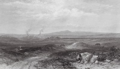 Australien: Utsikt nära Botany Bay (gravyr) av Samuel (after) Prout
