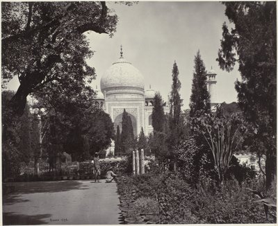 Utsikt över Taj Mahal och dess trädgård The Taj, from the Garden (originaltitel) The Taj (titel på objekt) av Samuel Bourne (signed by artist)