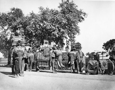 En grupp H E Vicekonungens elefanter och deras statliga fångster, ca 1860-talet av Samuel Bourne