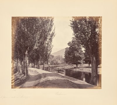 En angenäm promenad nära Srinagar av Samuel Bourne