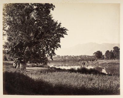 Beej Bihara var Jhelum av Samuel Bourne