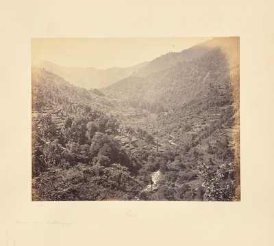 Kulu Valley nedanför Rusala av Samuel Bourne