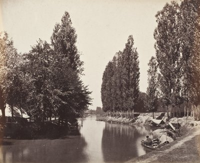 Flod med träd (Indien) av Samuel Bourne