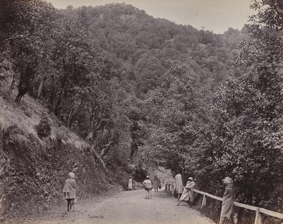 Shimla. The Mall eller huvudgatan av Samuel Bourne