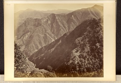 Simla; "Khuds" norr om Jakko, sett från Elysium Hill av Samuel Bourne