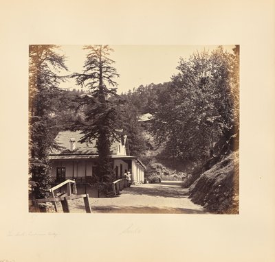 Simla; The Mall, Combermere Ridge av Samuel Bourne