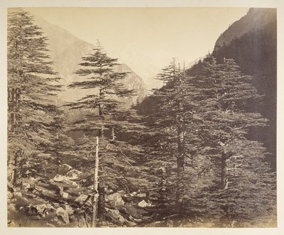 Snöiga toppar nära Gangootri från Bhairamghati. Fotograf: Bourne, Samuel Album med fotografier av Indien, främst av Samuel Bourne1866 av Samuel Bourne