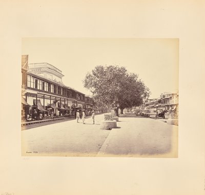 Chandni-Chouk, huvudgatan i Delhi av Samuel Bourne
