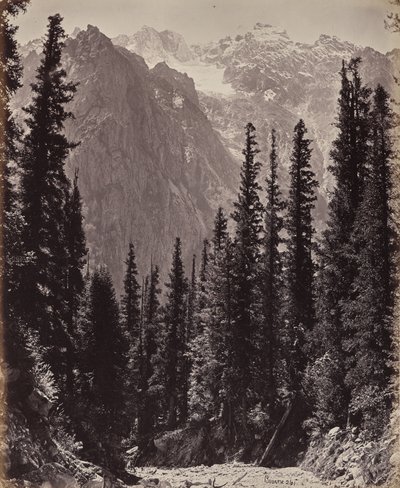 Övre Himalaya. Utsikt i Manga-dalen av Samuel Bourne