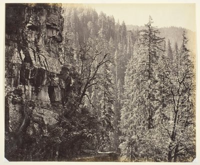 Utan titel [klippor och träd], c. 1865. av Samuel Bourne