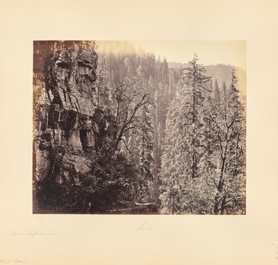 Utsikt i Narkunda-skogen av Samuel Bourne