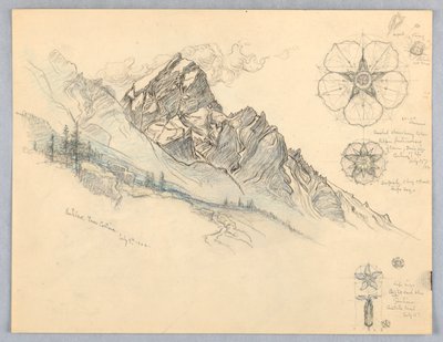 Antelao, från Cortina, med studier av blommor av Samuel Colman