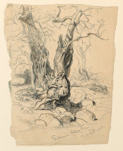 Teckning, Studier. Träd, 23 december 1885 av Samuel Colman