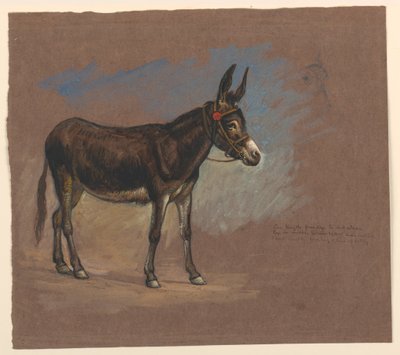 Teckning, studie. En mulåsna, 1872-75 av Samuel Colman