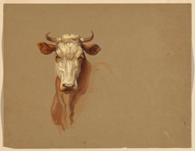 Teckning, Två studier.  Nötkreatur, 1876 av Samuel Colman