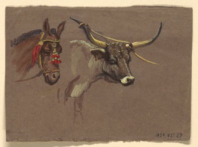 Huvud av en mula med ett träns, huvud av en buffel eller oxe av Samuel Colman