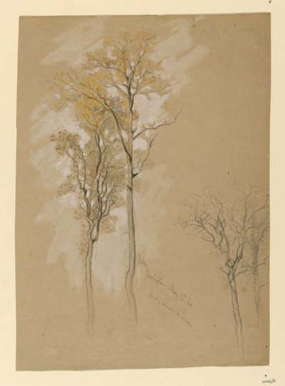 Oaks, Lady Wood Lane, Irvington av Samuel Colman