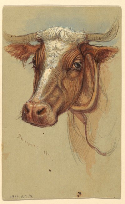 Skisser från Narragansett, Rhode Island av Samuel Colman
