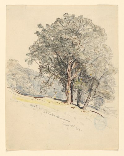 Studie av ekar vid Lake Dunmore, Vermont av Samuel Colman
