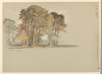 Pineträden i El Monte, Kalifornien av Samuel Colman