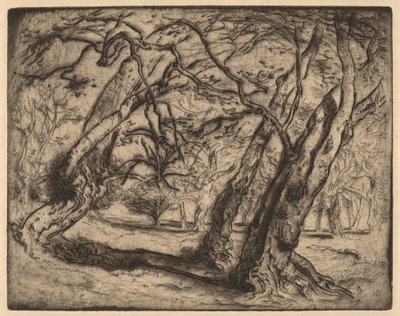 Namnlös (skogsbevuxen landskap) av Samuel Colman