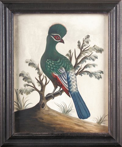 Touraco, ca 1750 av Samuel Dixon