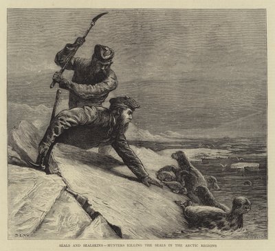 Sälar och sälskinn, jägare som dödar sälar i de arktiska regionerna av Samuel Edmund Waller