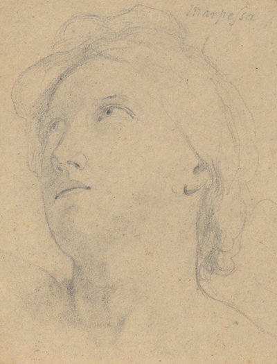 Studie för Judgment of Jupiter (Marpessa, huvud) av Samuel Finley Breese Morse