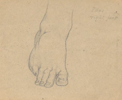 Studie för Judgement of Jupiter (Idas, höger fot) av Samuel Finley Breese Morse
