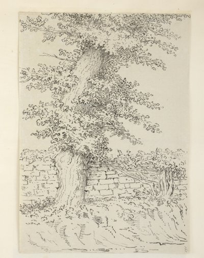 Lägg till. MS 15546 Am Elm Tree vid Bedminster av Samuel Hieronymous Grimm
