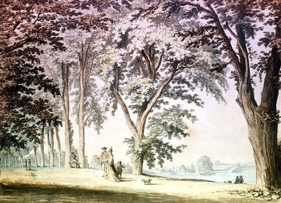 Träd vid Themsen mitt emot Hammersmith av Samuel Hieronymous Grimm