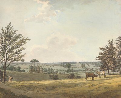 swedish av Samuel Hieronymus Grimm