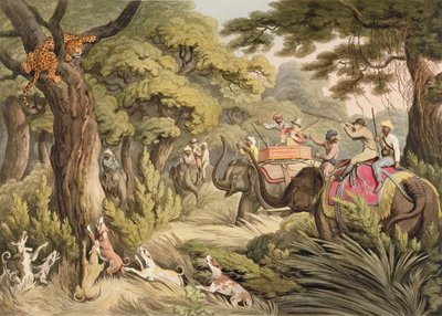 Shooting A Leopard, från Oriental Field Sports, pub. av Edward Orme, 1807 (tryck) av Samuel Howett