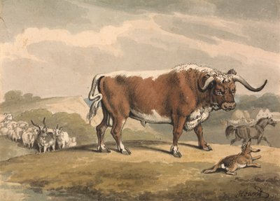 En tjur och en kanin av Samuel Howitt
